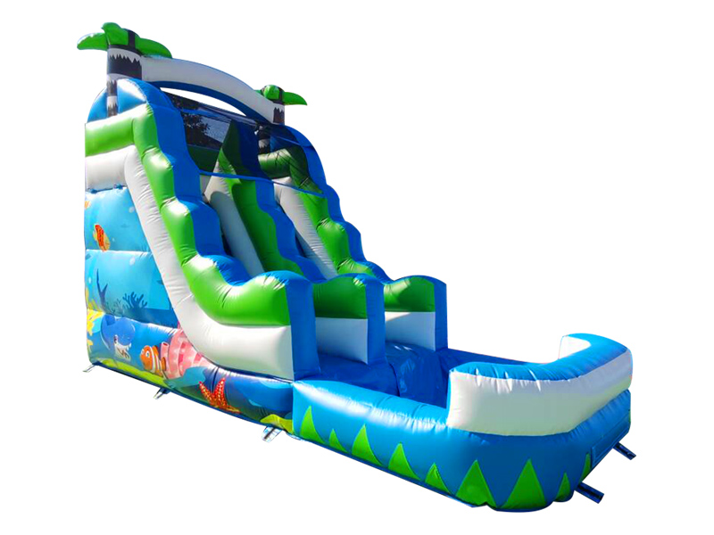 inflatable water slide for adults