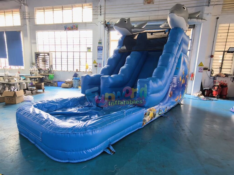 dolphin water slide dolphin water slide